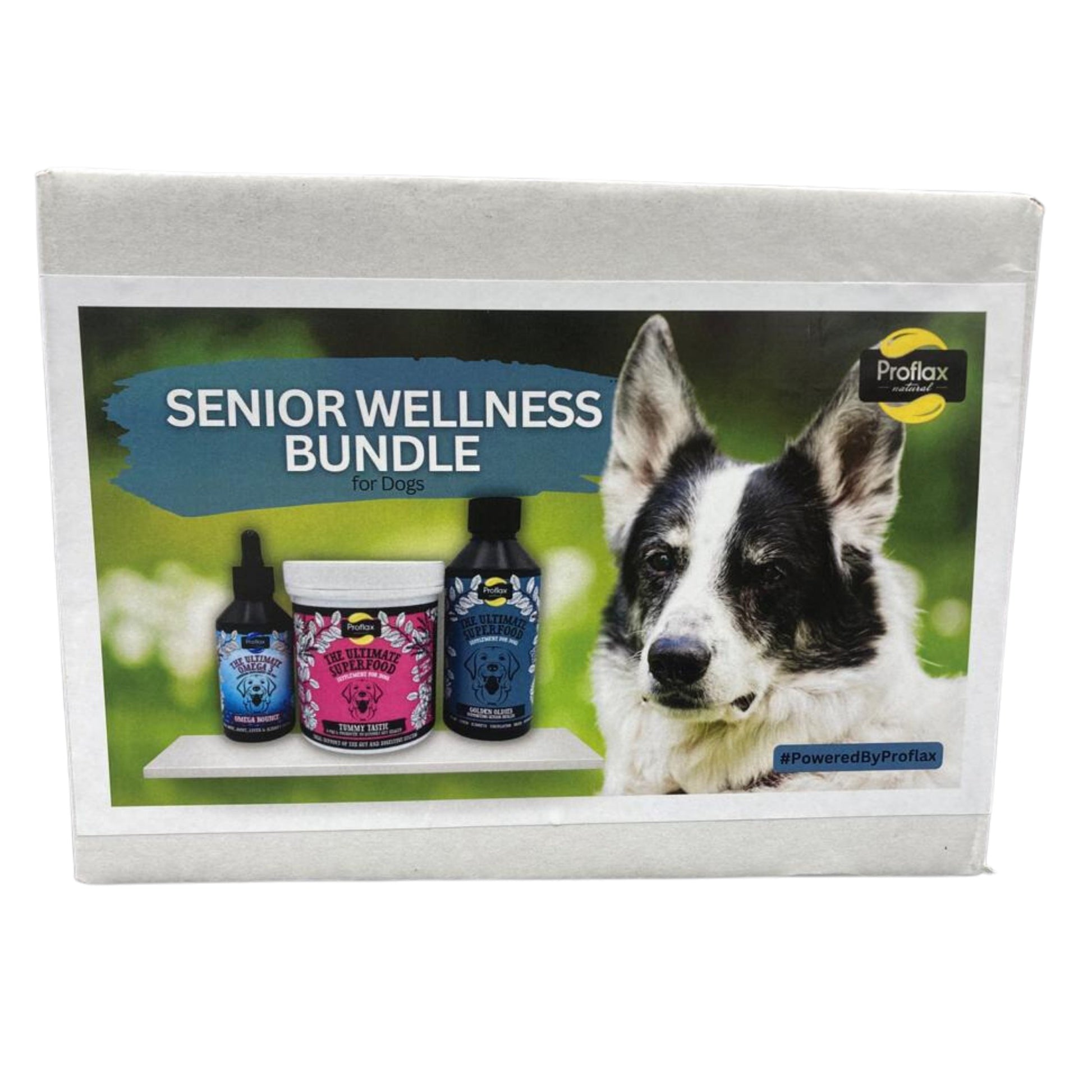 Proflax Senior Wellness Bundle for Dogs - Proflax